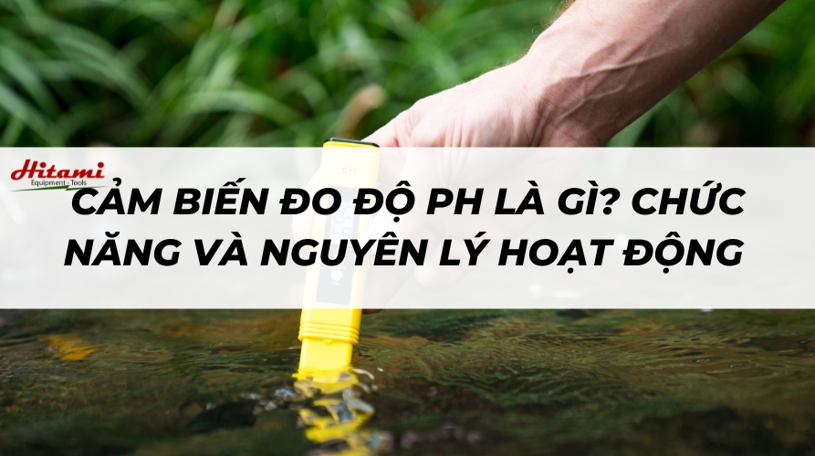 Cảm biến đo độ pH là gì? Chức năng và nguyên lý hoạt động