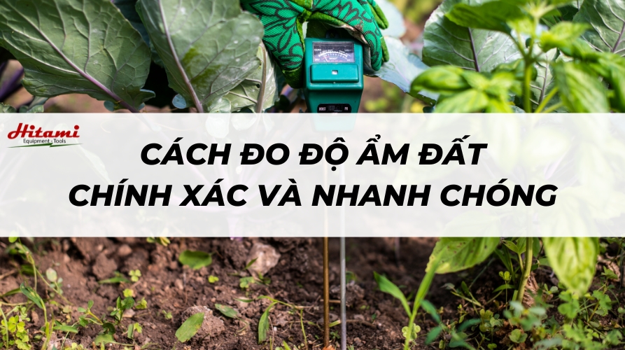 Các cách đo độ ẩm đất chính xác và nhanh chóng