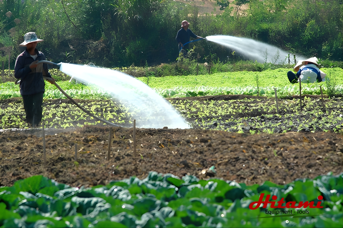 Các loại máy bơm nước nông nghiệp phổ biến hiện nay 4 Máy bơm nước nông nghiệp dùng tưới vườn