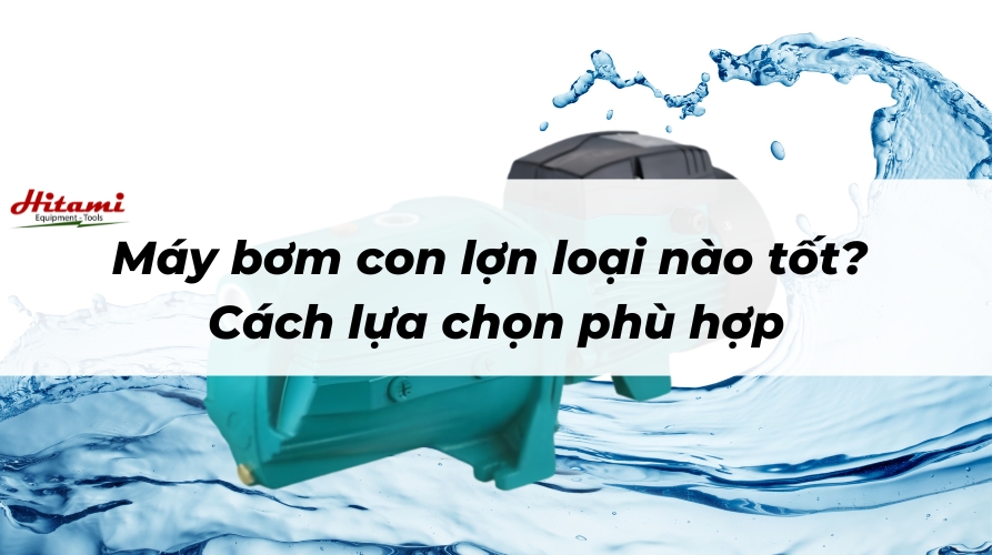 Máy bơm con lợn loại nào tốt? Cách lựa chọn phù hợp 1 Thumbnail Máy bơm con lợn loại nào tốt