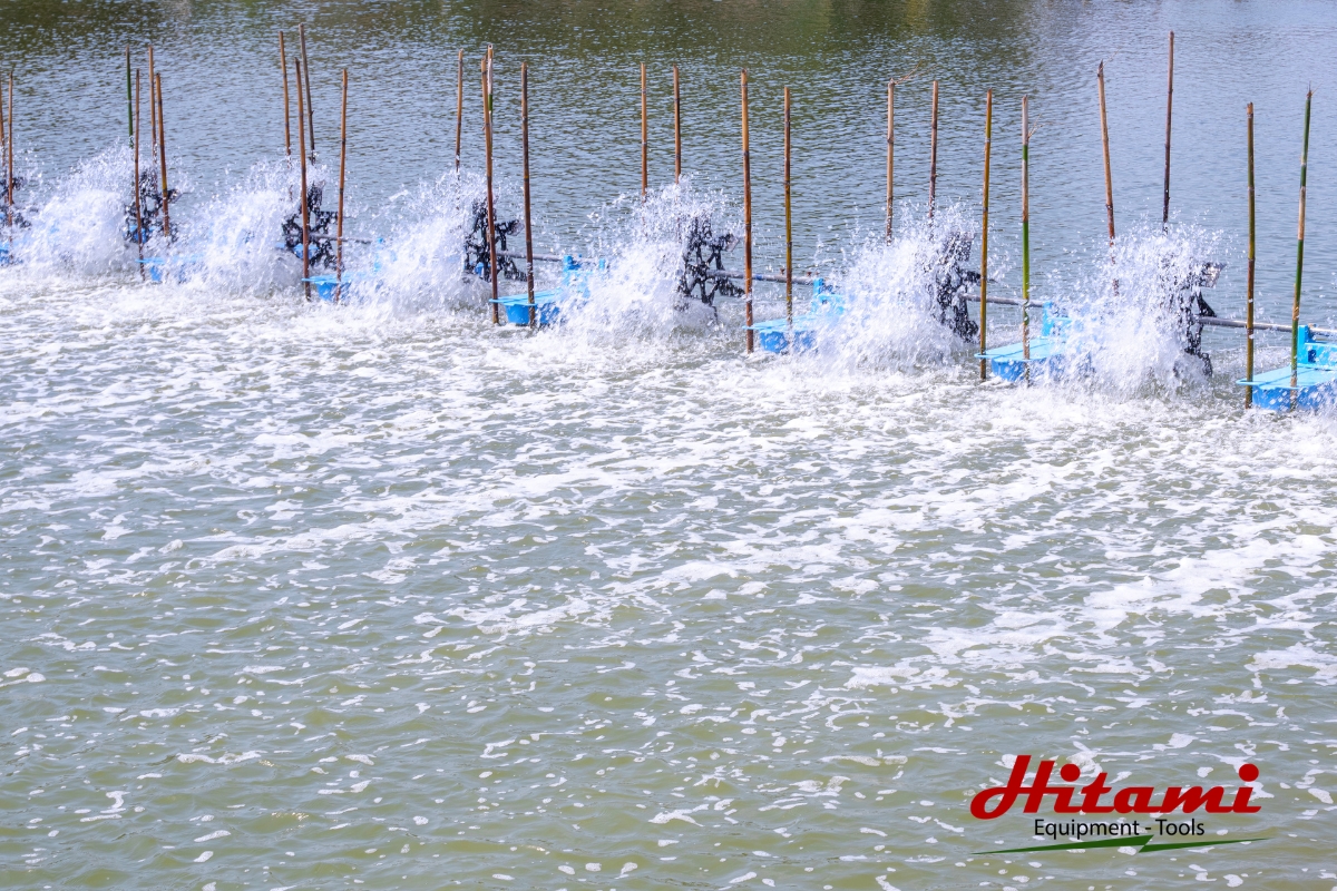 Máy bơm nước hỏa tiễn là gì? Ứng dụng và cách chọn phù hợp 6 Ứng dụng máy bơm hỏa tiễn trong nuôi thủy sản