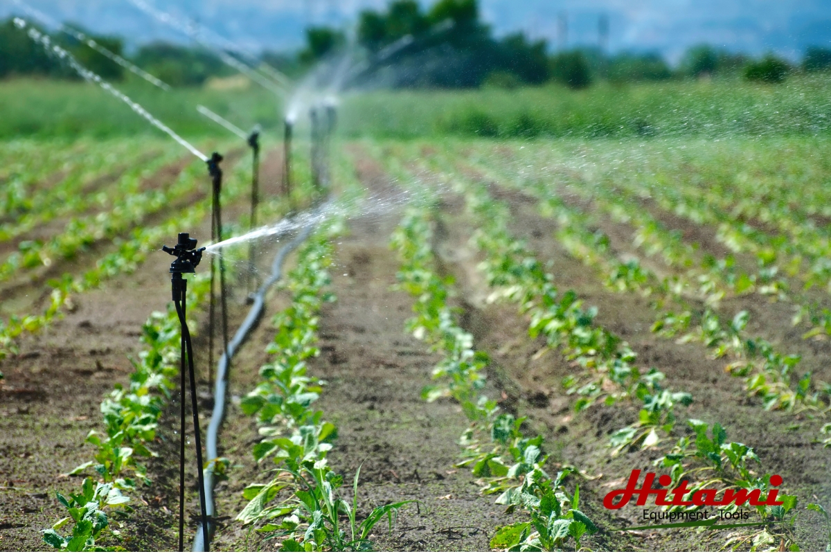 Máy bơm nước đẩy cao là gì? Cấu tạo và các ứng dụng phổ biến 4 Ứng dụng máy bơm nước đẩy cao trong tưới tiêu