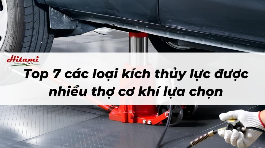 Thumbnail-Hitami_cac-loai-kich-thuy-luc